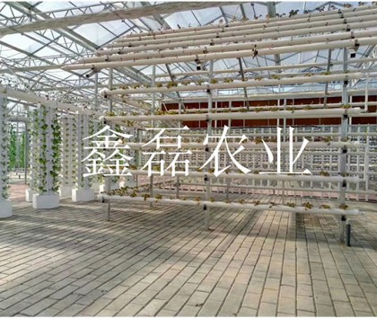 花卉、育苗基地