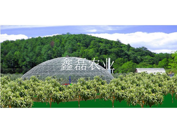 鳥巢溫室